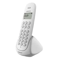 199823823_4435053533212162_1597696038424908379_n