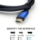 202550481_4442868322430683_3391563028945705025_n