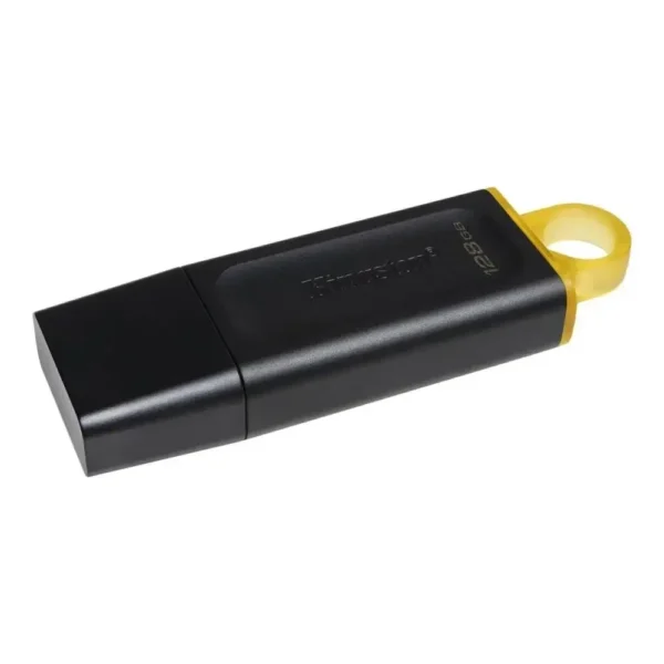 Clé USB Kingston 128 Gb - Performances 3.2 et Sécurité Maximale