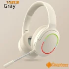 Casque Bluetooth DeepBass R10 – Écouteurs Sans Fil Pliables avec Basses Puissantes, Micro Intégré, Radio FM et Carte MicroSD