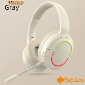 Casque Bluetooth DeepBass R10 – Écouteurs Sans Fil Pliables avec Basses Puissantes, Micro Intégré, Radio FM et Carte MicroSD